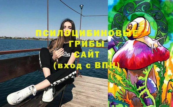 каннабис Арсеньев